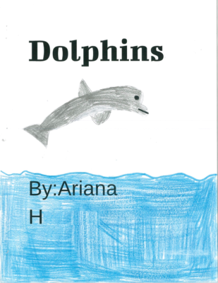Dolphins  by Ariana H.