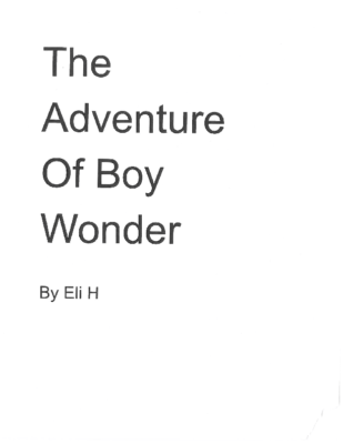The Adventure of Boy Wonderby Eli H.