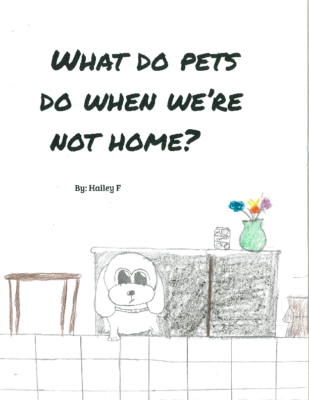 What Do Pets Do When We’re Not Home? by Hailey F.