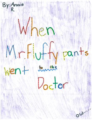 When Mr. Fluffypants Went To The Doctor by Anais R.