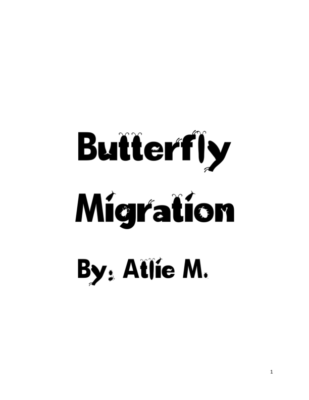Butterfly Migration by Atlie M.