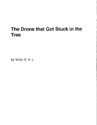 The Drone That Got Stuck In the Treeby Victor L.