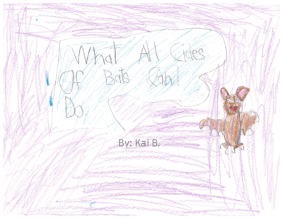 What All Kinds of Bats Can Do by Kai B.