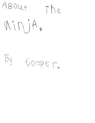 About The Ninja by Cooper G.