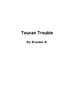 Toucan Trouble by Brandon W.