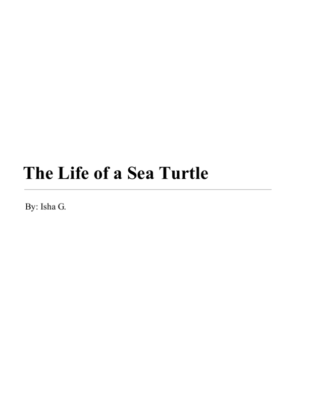 The Life of a Sea Turtle by Isha G.