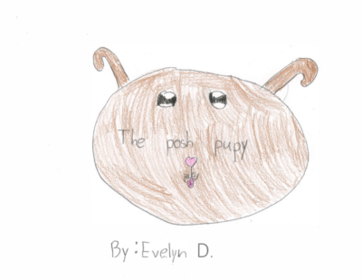 The Posh Puppy by Evelyn D.