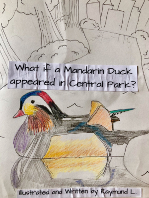What if a Mandarin Duck Appeared in Central Park?by Raymund L.