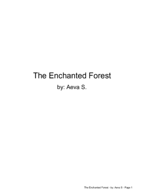The Enchanted Forest by Aeva S.