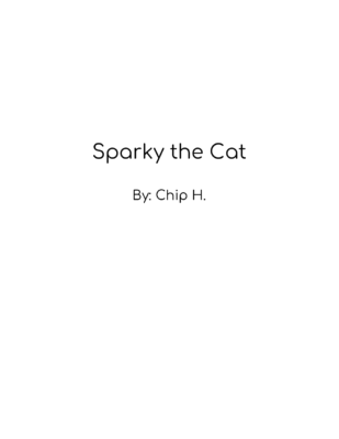 Sparky the Cat by Chip H.