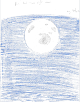 The full moon night dream  by Sofia A.