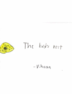The bird’s nest  by Vihaan V.