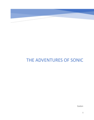The Adventures of Sonic  by Easton C.