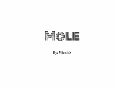Mole  by Micah S.