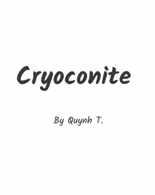 Cryoconite  by Quynh T.